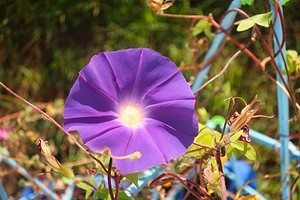 0926(11)