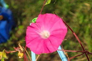 0926(12) 0926(12)