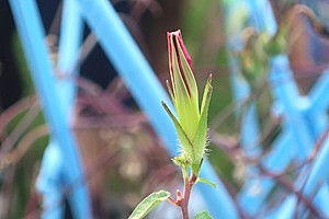 0926(7)