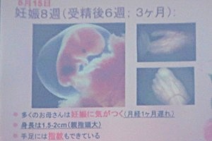 1008(6) 1008(6)