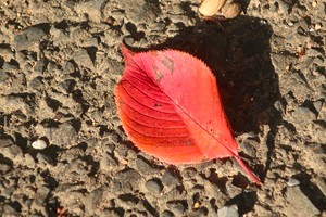 1024(7)