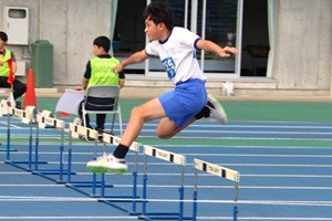 1028(12) 1028(12)
