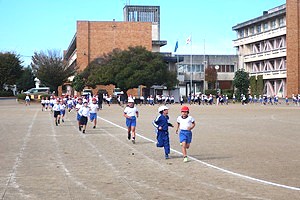 1029(1)