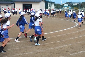 1029(3)
