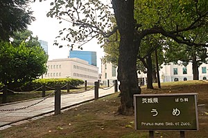 1112(12) 1112(12)