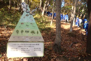 1121(4) 1121(4)