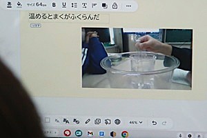 1202(11)