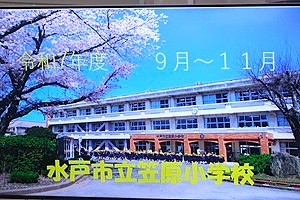 1203(3)