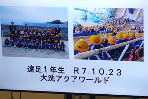 1203(9)