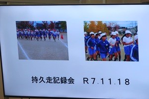 1203(12) 1203(12)