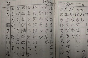 1204(22) 1204(22)