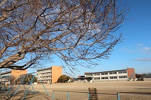 0204(5)
