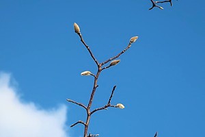 0204(6) 0204(6)