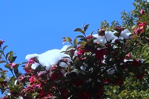 0209(9)