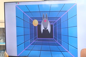 0227(12) 0227(12)