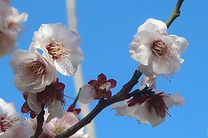 0228(1)