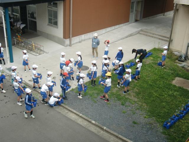 CIMG5053