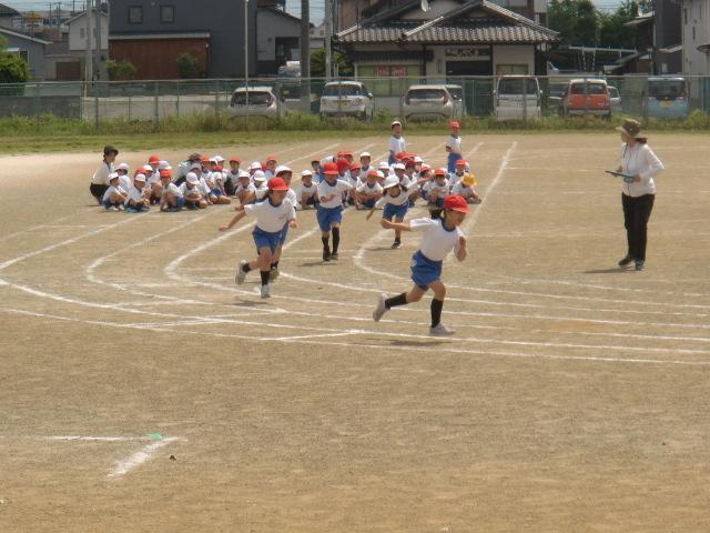 1年生