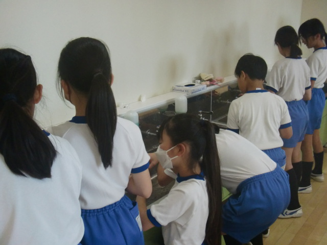 観察(3) 観察(3)