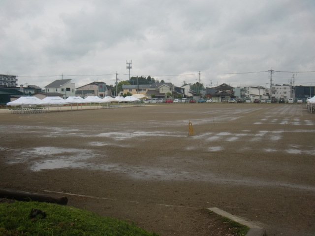 (6)