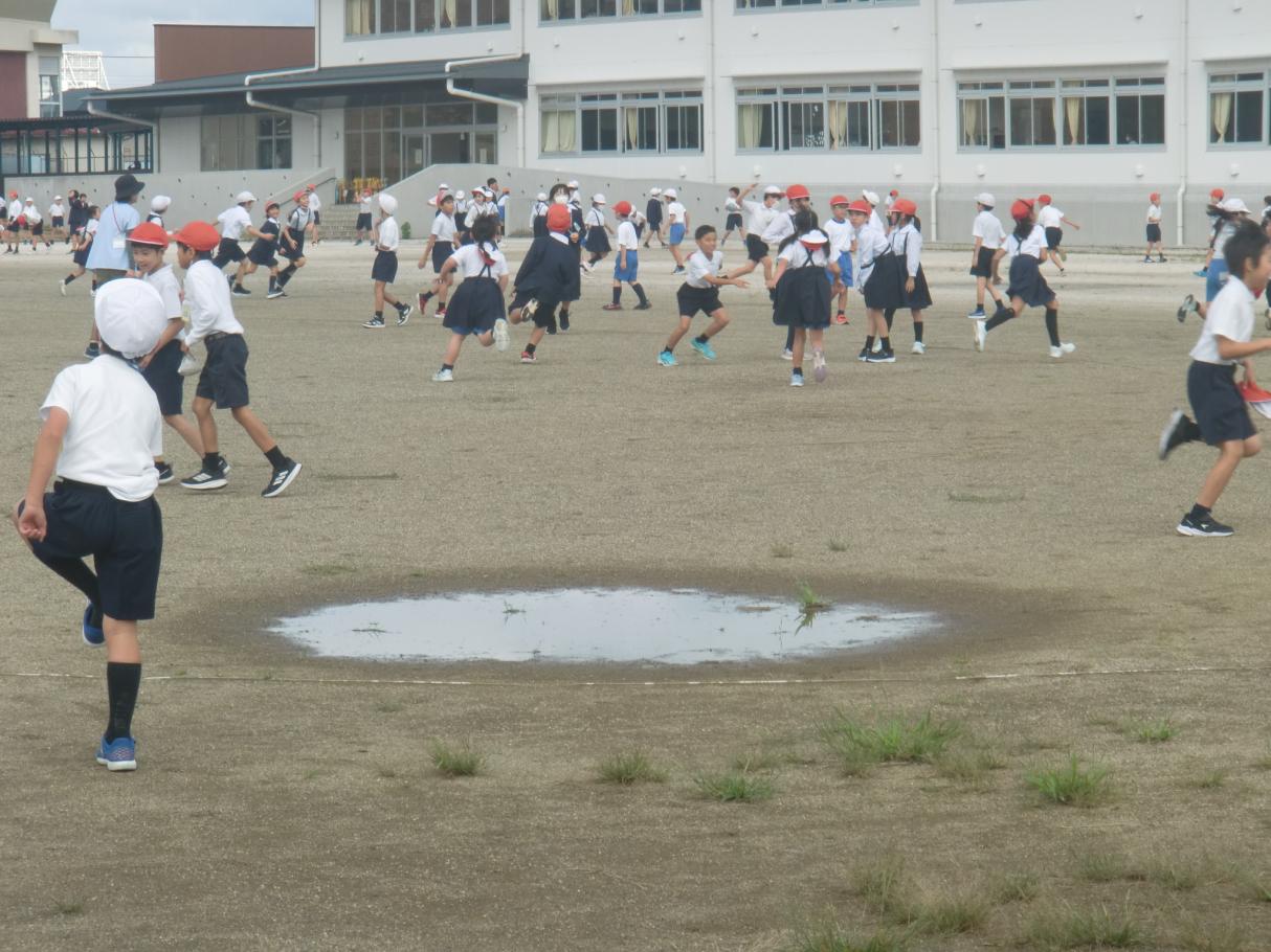 (4)