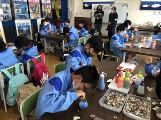 s-海の大学 s-海の大学
