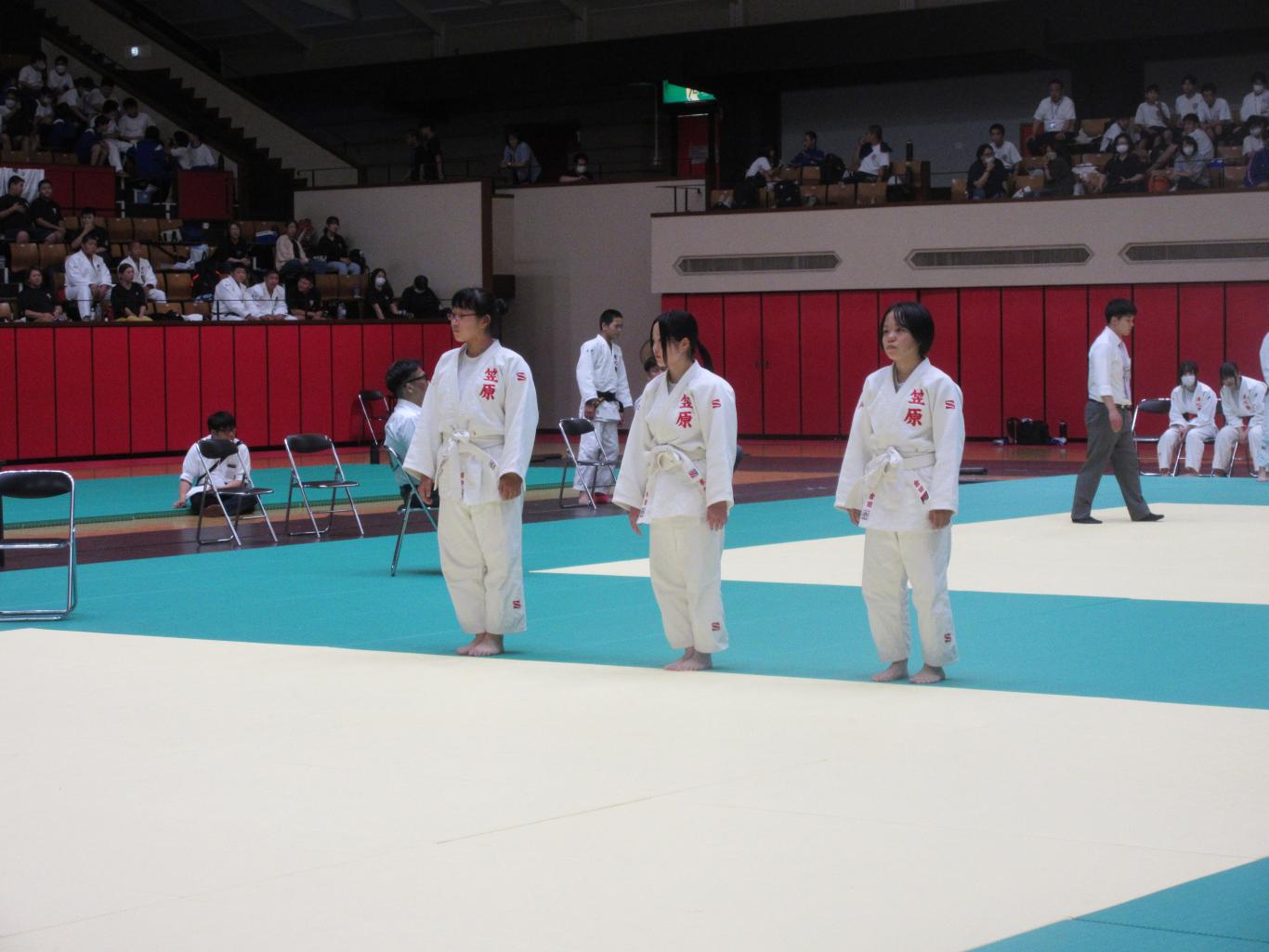 IMG_4394 IMG_4394