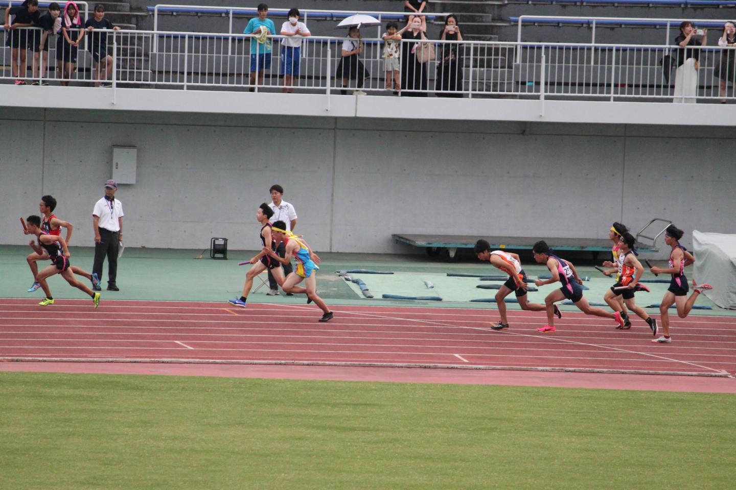 IMG_3176 IMG_3176