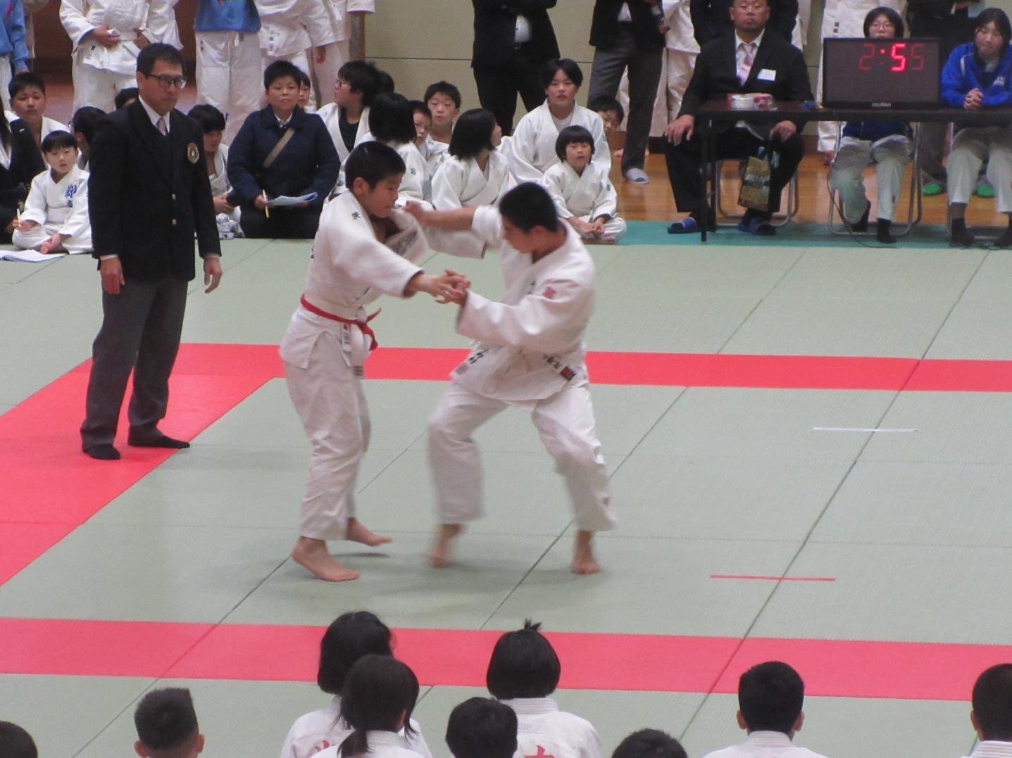 IMG_6429 IMG_6429