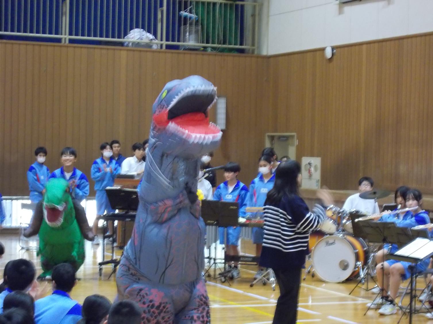DSCN6622 DSCN6622
