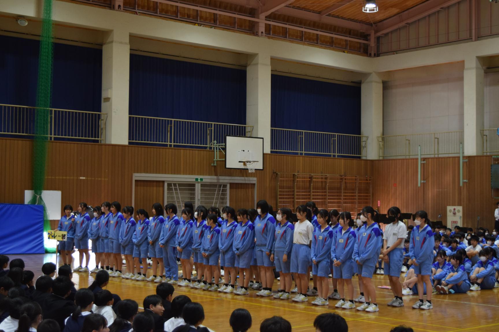 DSC_0702 DSC_0702