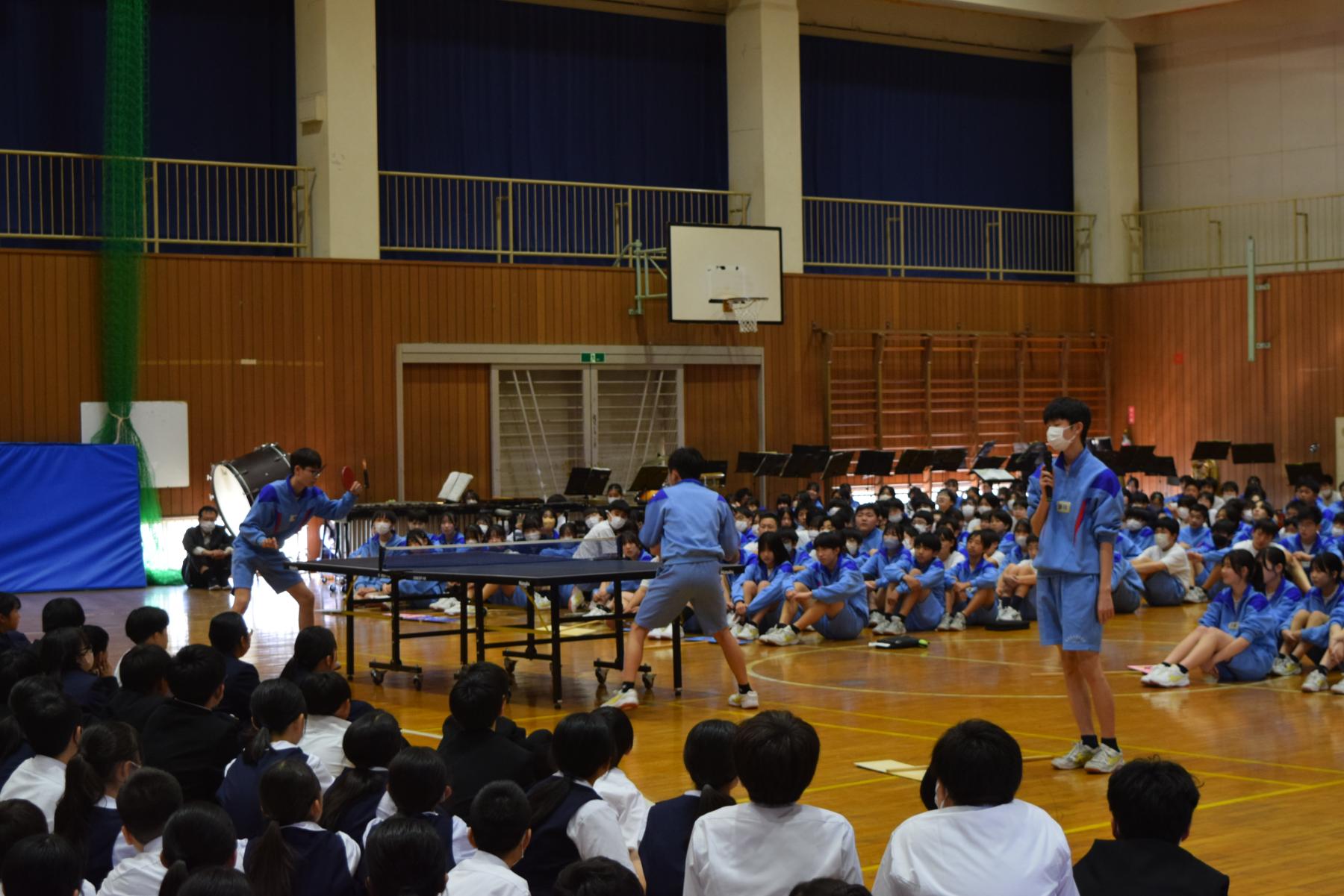 DSC_0707 DSC_0707