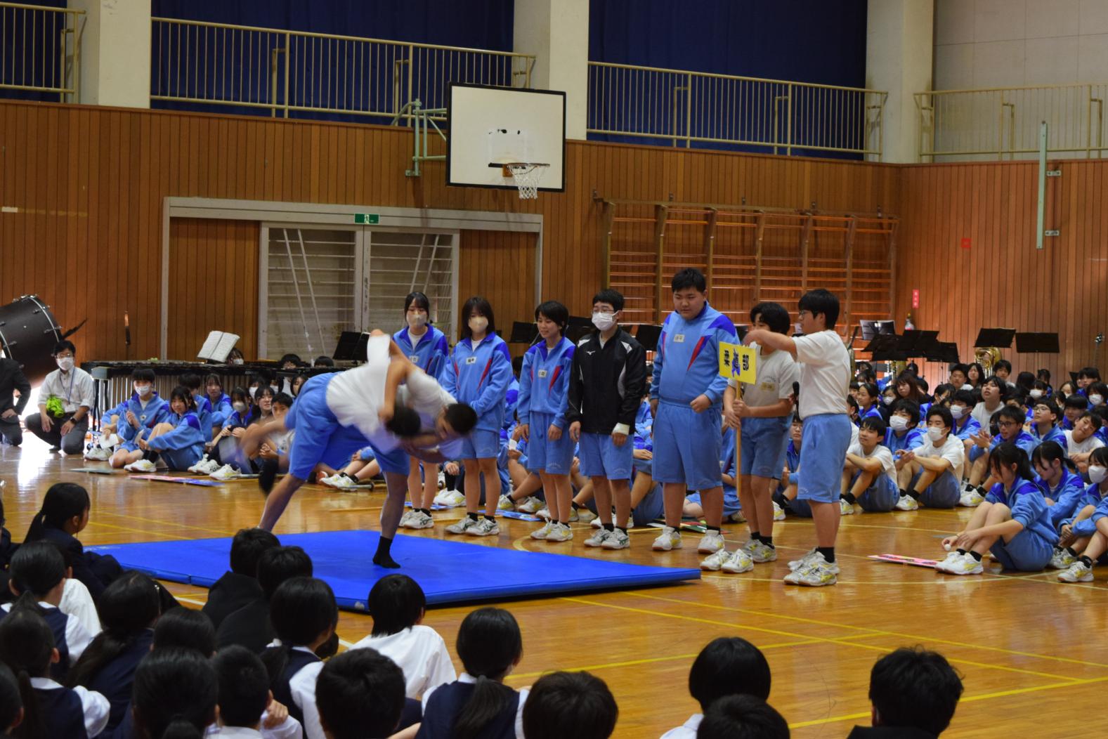 DSC_0718 DSC_0718