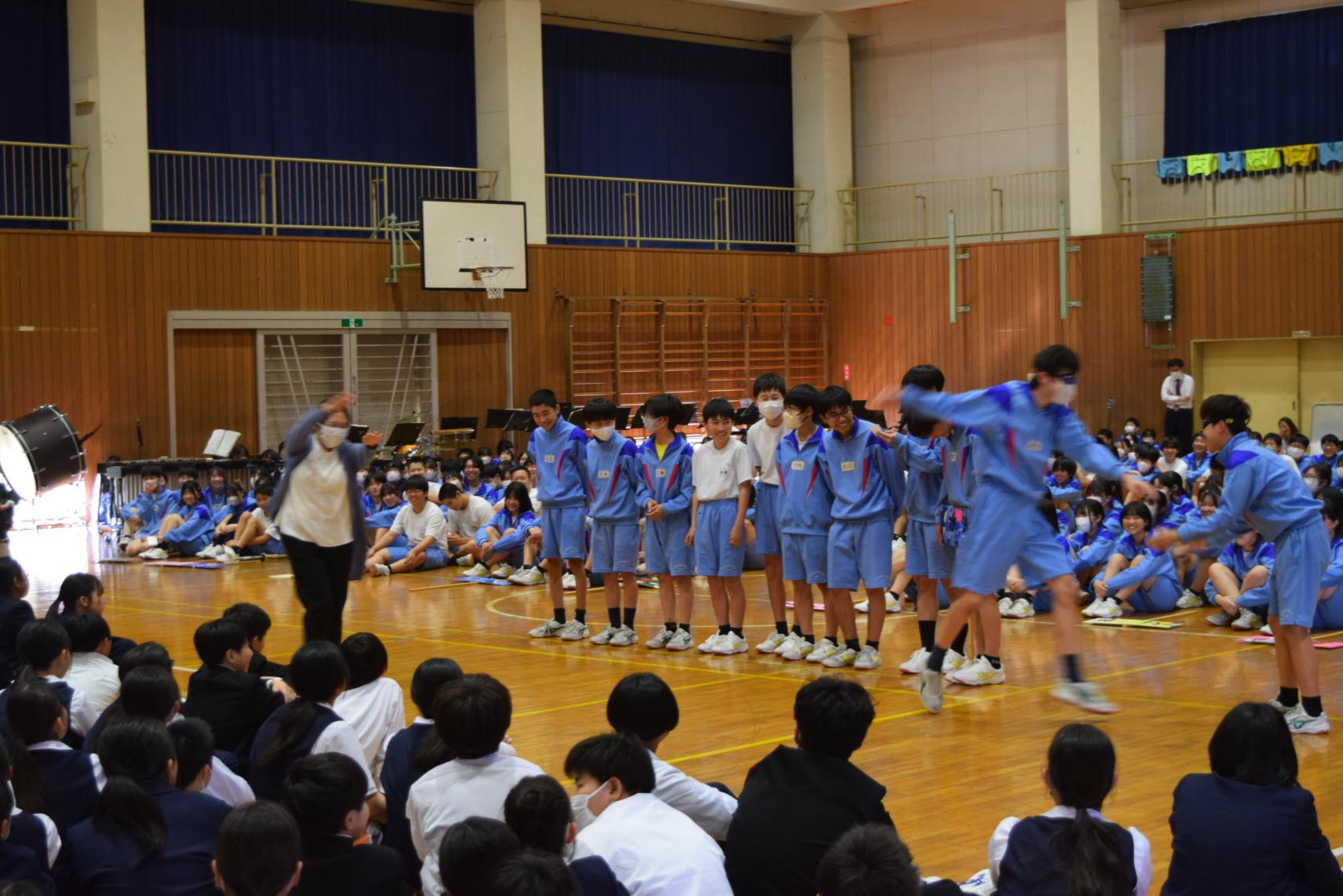 DSC_0716 DSC_0716