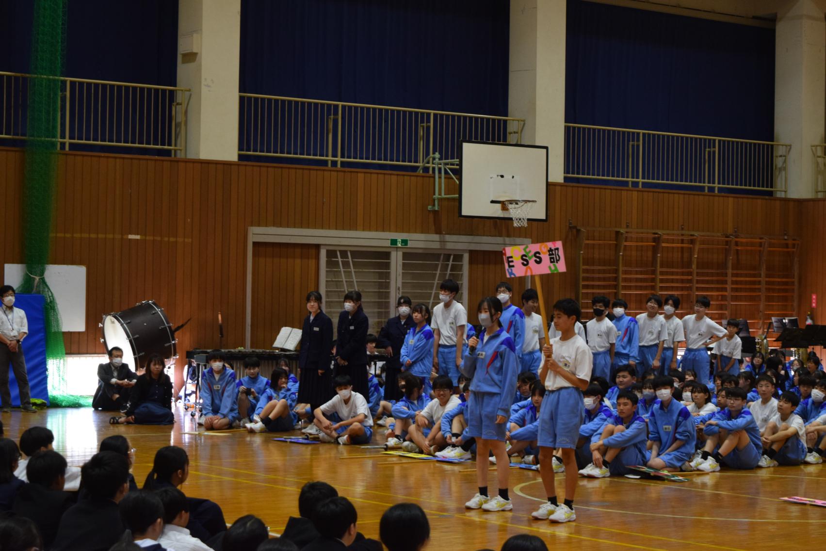 DSC_0725 DSC_0725
