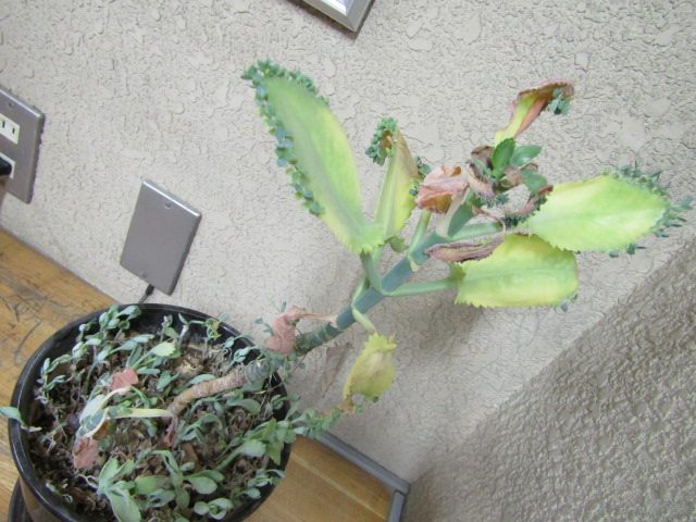 IMG_5479 IMG_5479