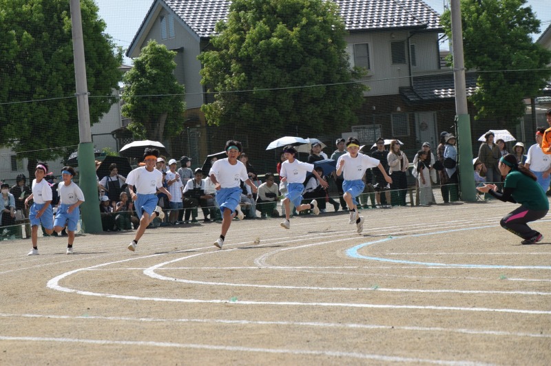 DSC_09441 DSC_09441