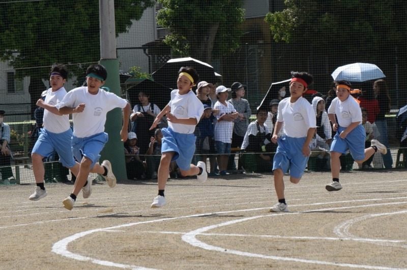 DSC_09481 DSC_09481
