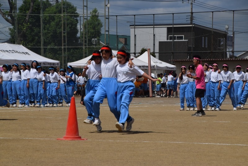 DSC_0062 DSC_0062