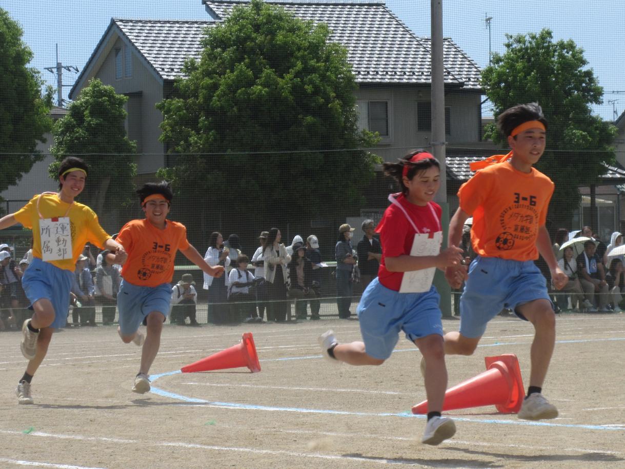 IMG_0658 IMG_0658