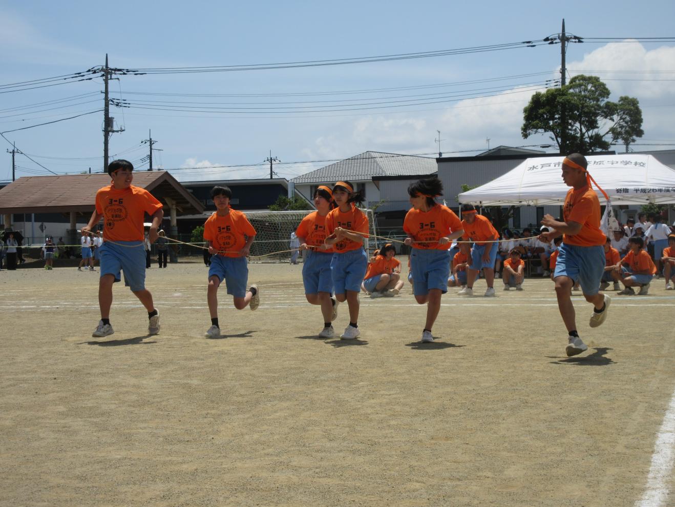 IMG_0786 IMG_0786