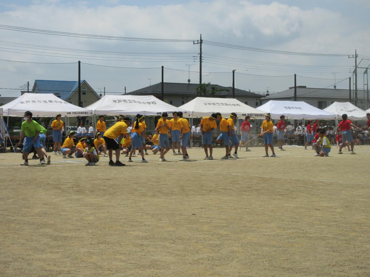 IMG_0798 IMG_0798