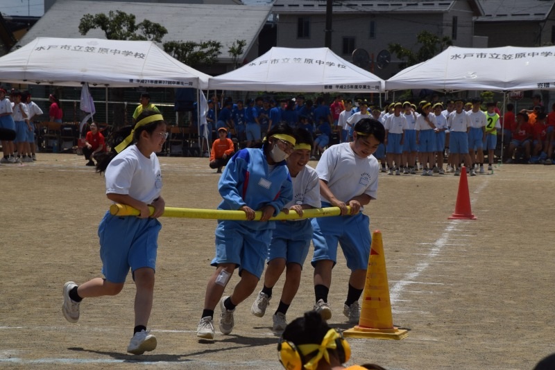 DSC_0245 DSC_0245