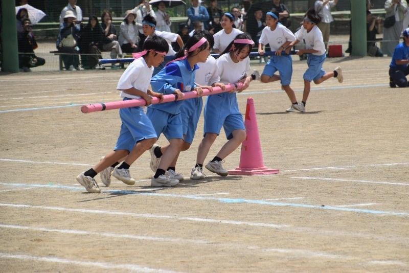 DSC_0251 DSC_0251