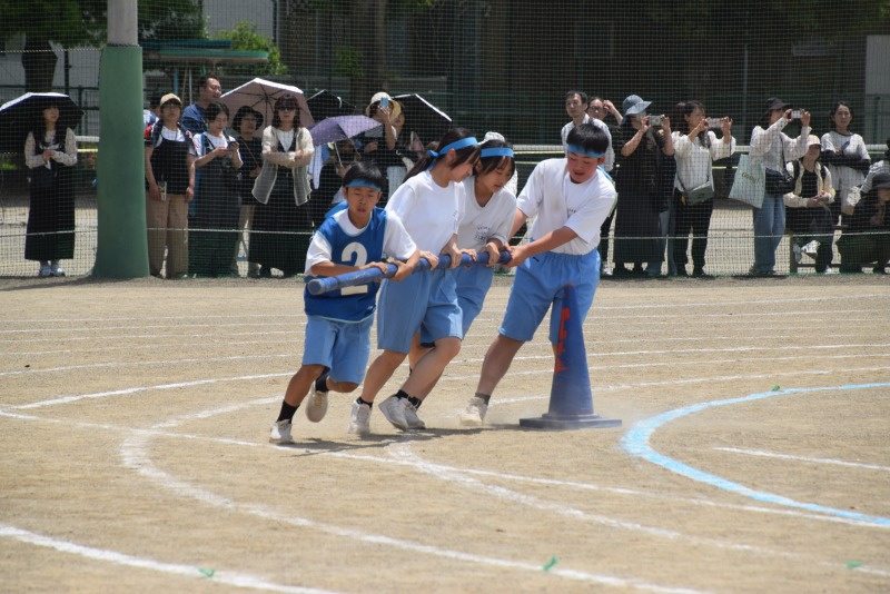 DSC_0256 DSC_0256