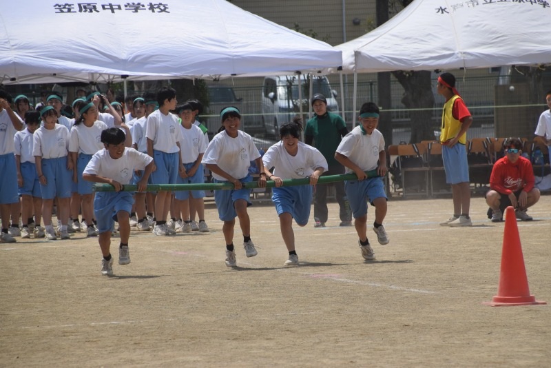 DSC_0277 DSC_0277