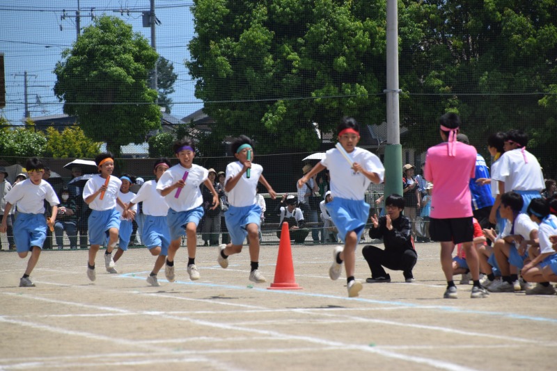 DSC_0330 DSC_0330
