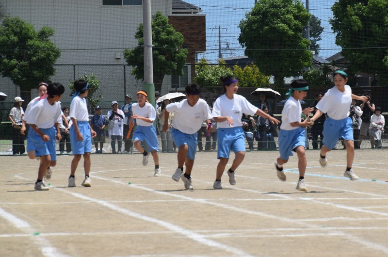 DSC_03331 DSC_03331