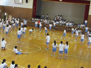 IMG_0293 IMG_0293