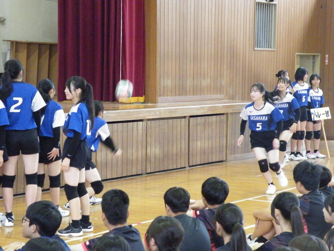 DSCF6342